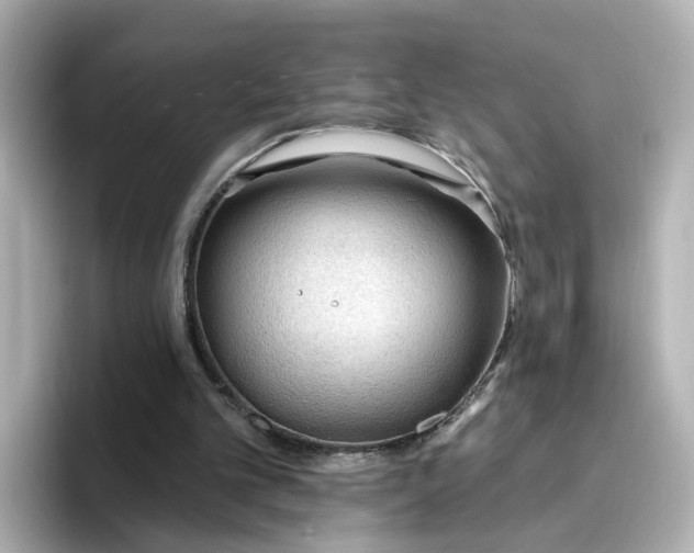 X0000096970101200802221412