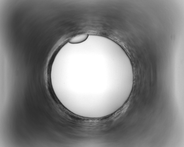 X0000096970102200802221411