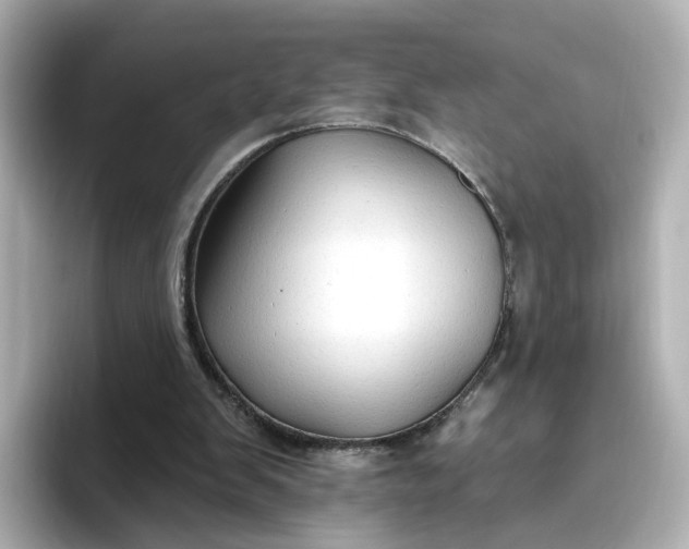 X0000096970103200802221411