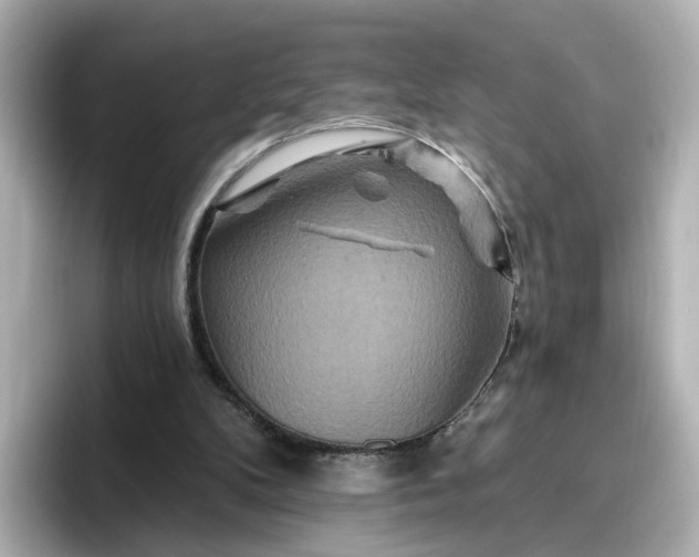 X0000096970104200802221411