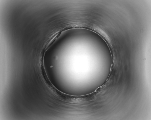 X0000096970105200802221411