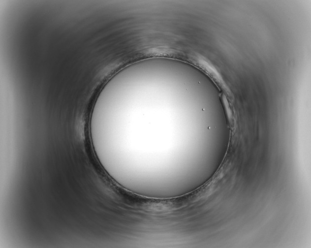 X0000096970106200802221411