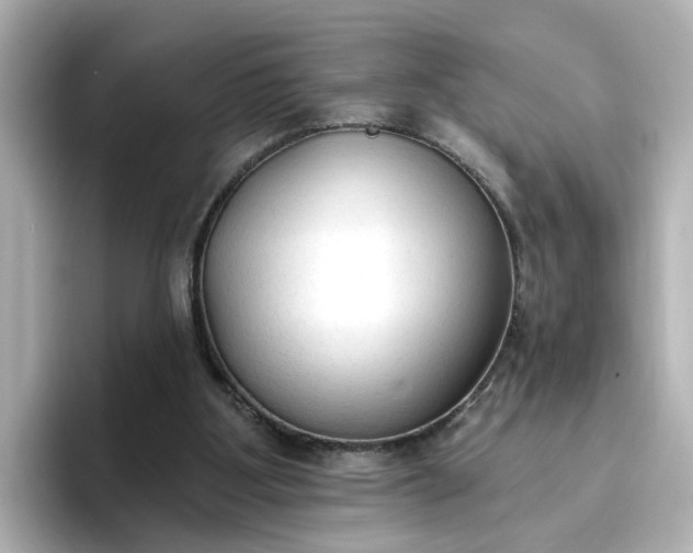 X0000096970107200802221411