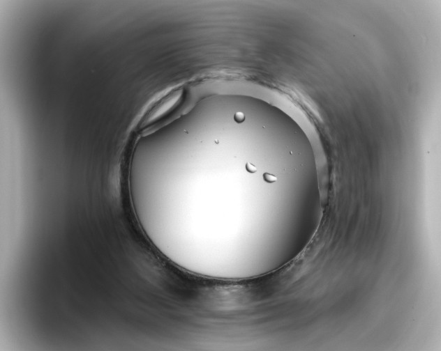 X0000096970108200802221411