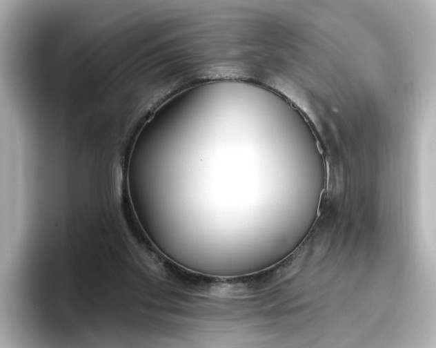 X0000096970109200802221411