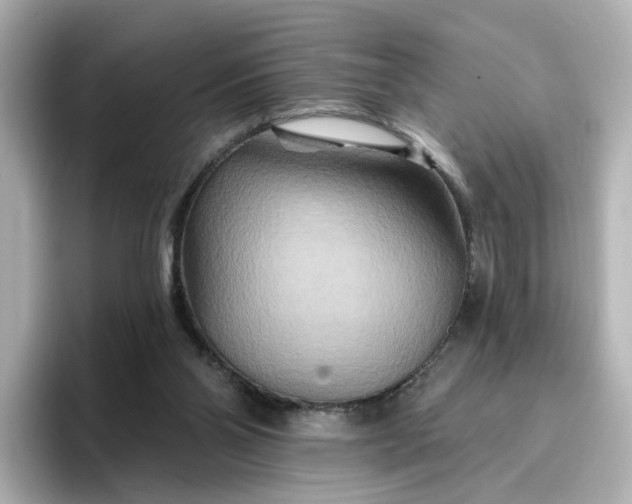 X0000096970110200802221411