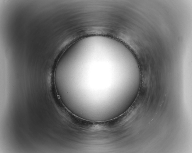 X0000096970111200802221411