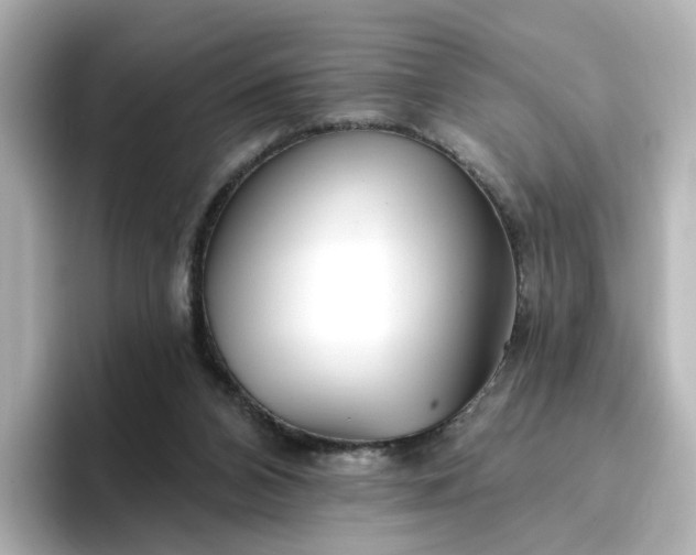 X0000096970112200802221411