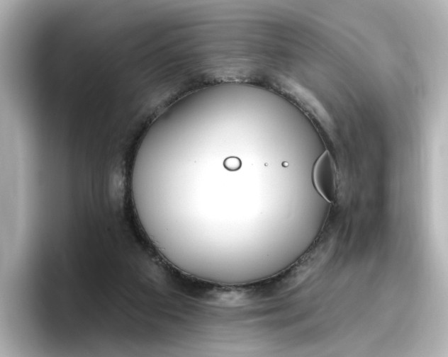 X0000096970113200802221411