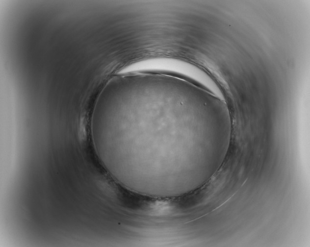 X0000096970114200802221411