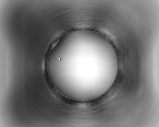 X0000096970115200802221411