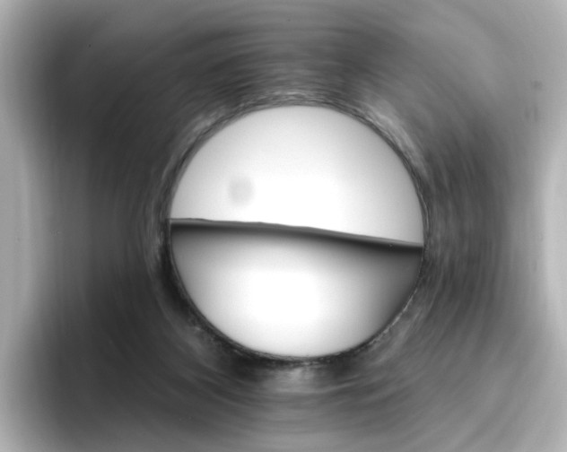 X0000096970116200802221411