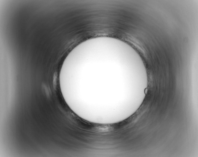 X0000096970118200802221411