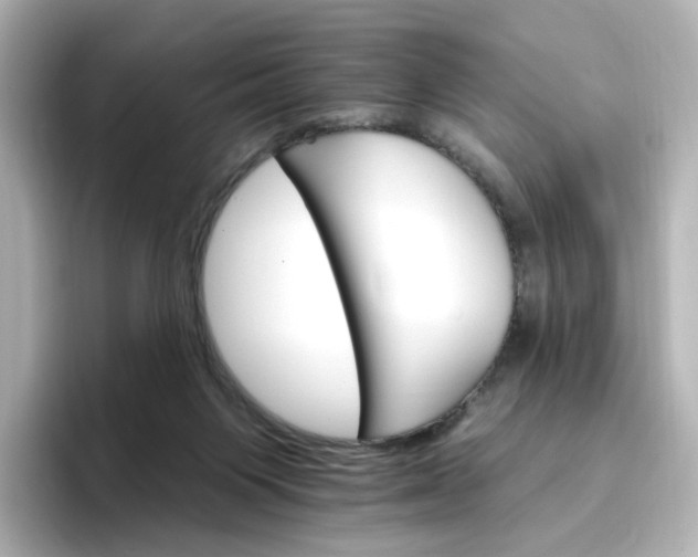 X0000096970119200802221411