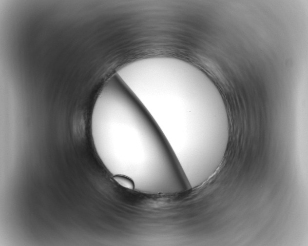 X0000096970120200802221411