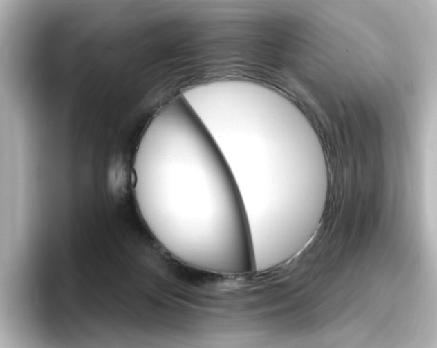 X0000096970124200802221411