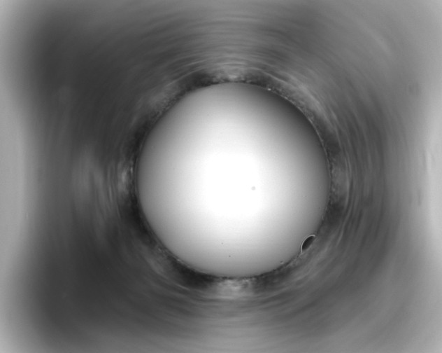 X0000096970126200802221411