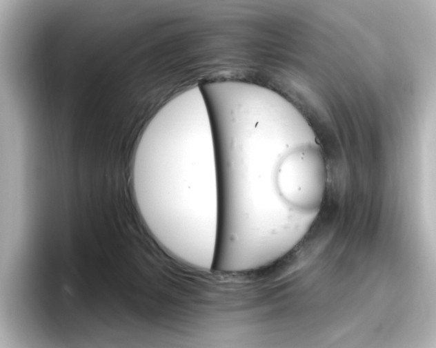 X0000096970127200802221411