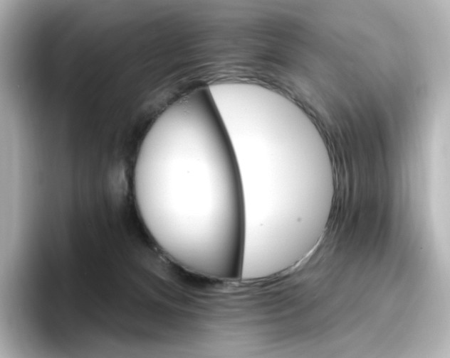 X0000096970128200802221411