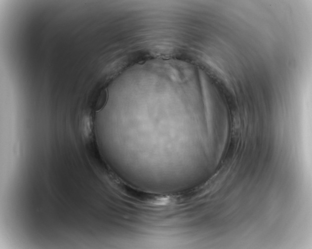 X0000096970130200802221411