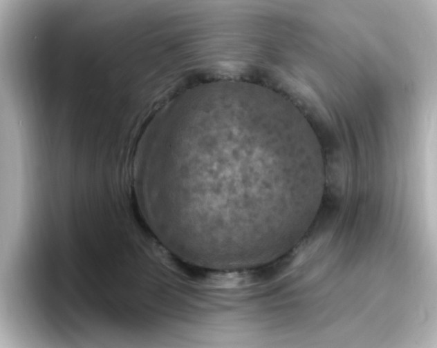 X0000096970131200802221411