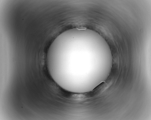 X0000096970133200802221411