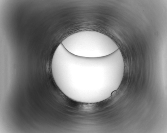 X0000096970134200802221411