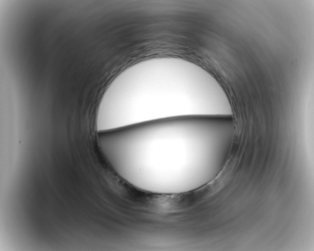 X0000096970136200802221411