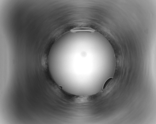 X0000096970138200802221411