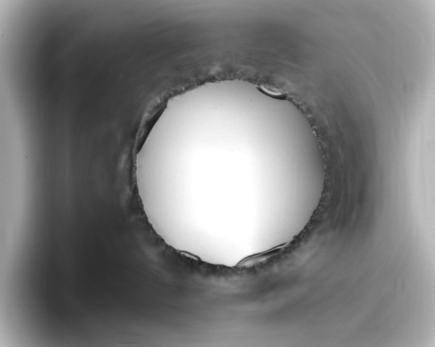 X0000096970144200802221411