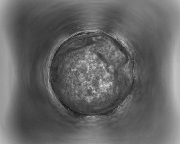 X0000096970145200802221410