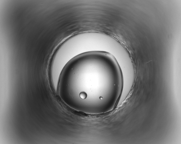 X0000096970146200802221410