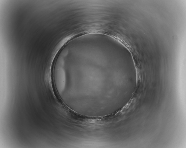 X0000096970147200802221410