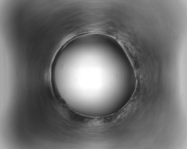 X0000096970148200802221410