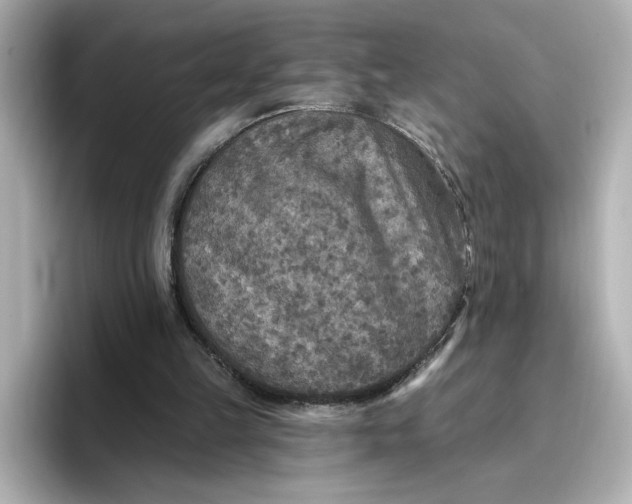 X0000096970149200802221410