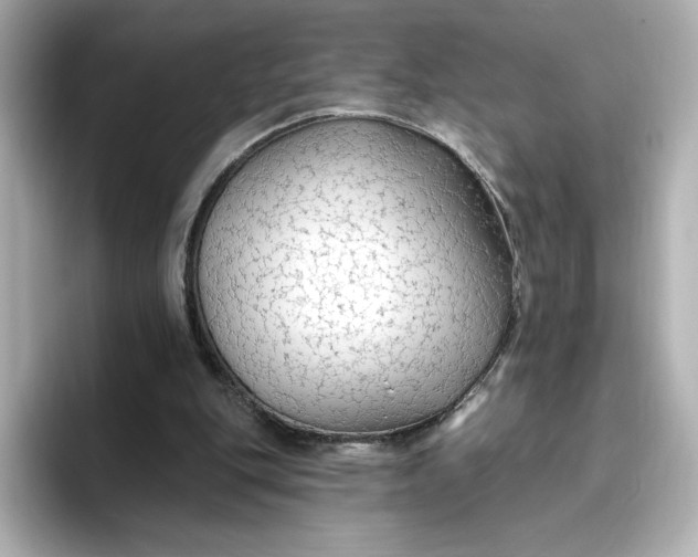 X0000096970151200802221410