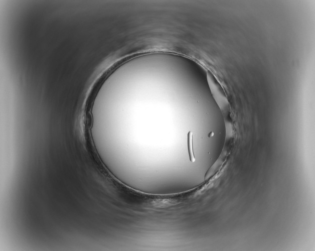 X0000096970152200802221410