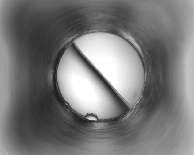 X0000096970154200802221410