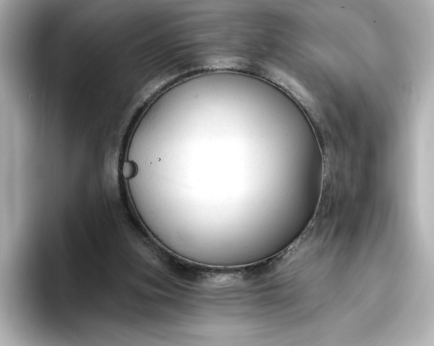 X0000096970155200802221410