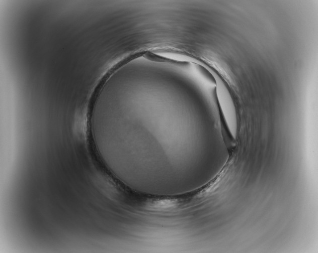 X0000096970156200802221410