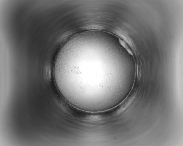 X0000096970157200802221410