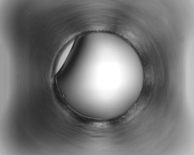 X0000096970160200802221410