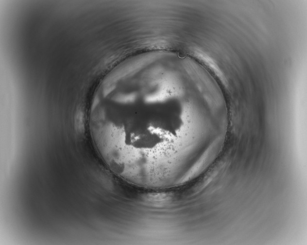 X0000096970161200802221410