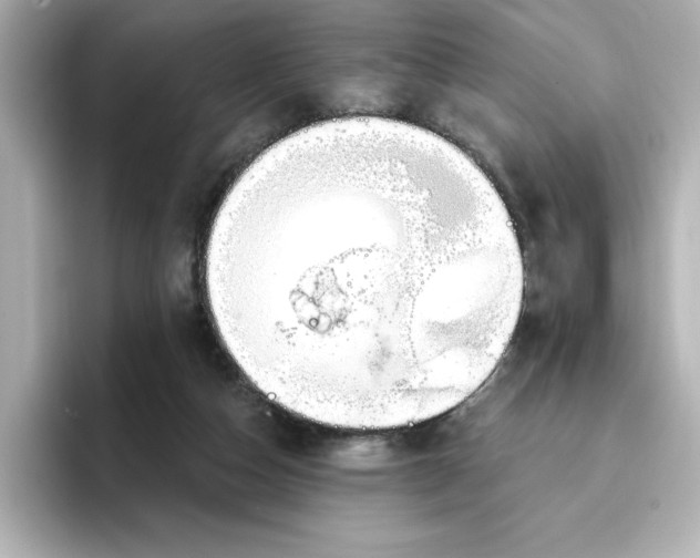 X0000096970162200802221410