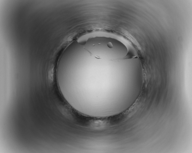 X0000096970163200802221410