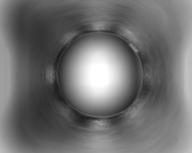 X0000096970164200802221410