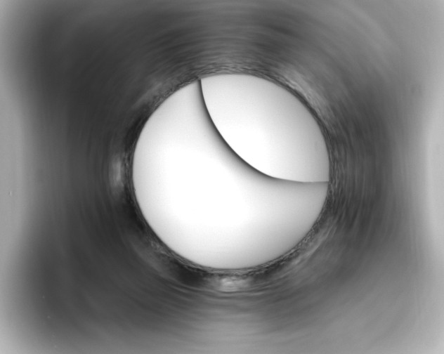 X0000096970165200802221411