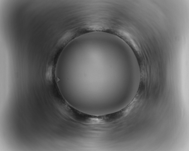 X0000096970167200802221411