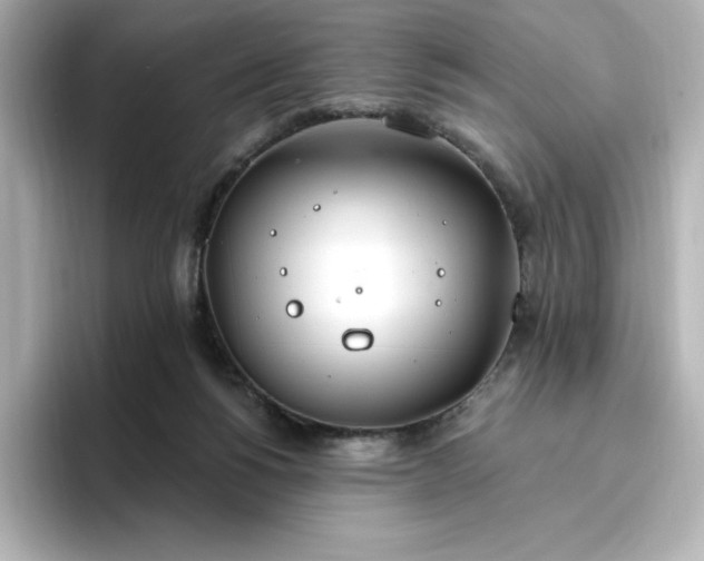 X0000096970168200802221411