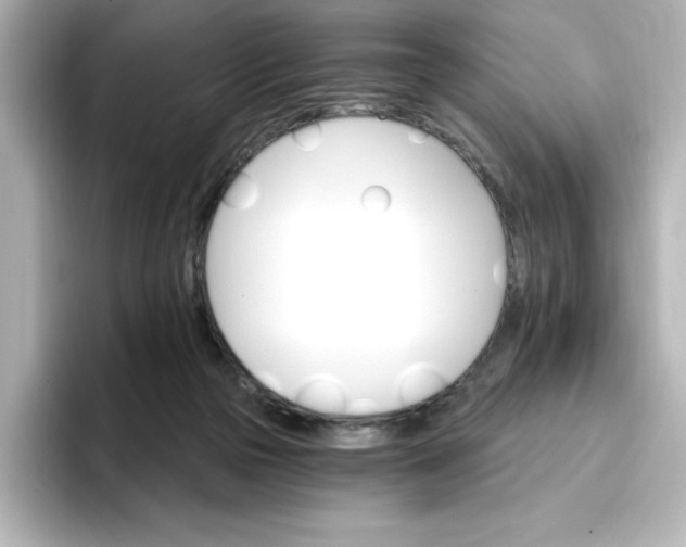 X0000096970169200802221411